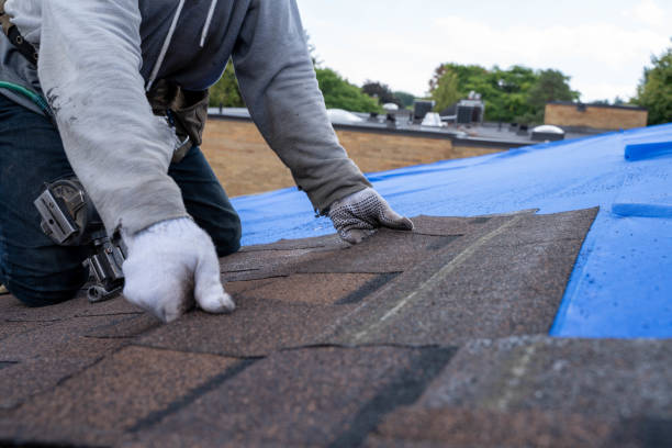 Best Storm Damage Roof Repair  in Chesapeake, VA