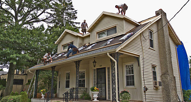 Best Metal Roofing Contractor  in Chesapeake, VA