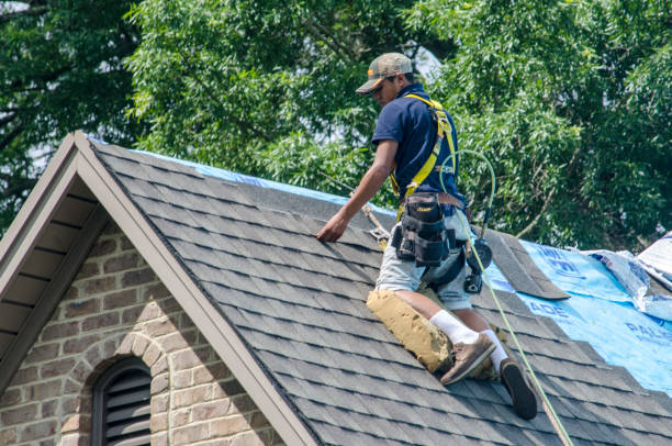 Best Residential Roofing Contractor  in Chesapeake, VA
